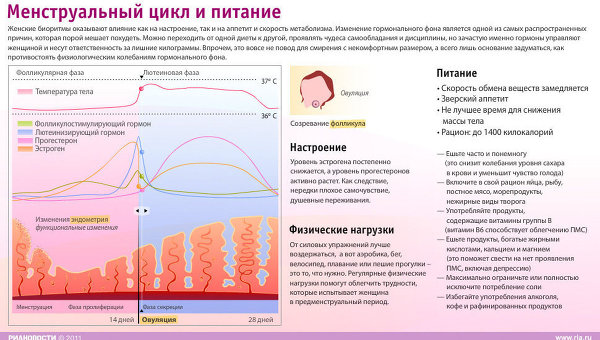 Как сделать менструационный цикл Как сделать менструационный цикл