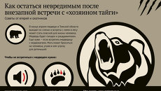 Как остаться в живых после встречи с медведем Как остаться в живых после встречи с медведем