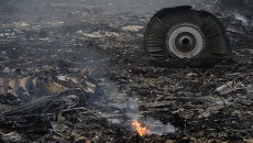 Крушение малайзийского Boeing на Украине. Архивное фото Крушение малайзийского Boeing на Украине. Архивное фото
