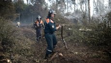 Сотрудники пожарной охраны на месте лесных пожаров в Тверской области Сотрудники пожарной охраны на месте лесных пожаров в Тверской области