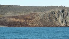 Лежбище моржей на мысе Кожевникова на Чукотке. Архивное фото Лежбище моржей на мысе Кожевникова на Чукотке. Архивное фото