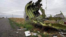 На месте крушения малайзийского самолета Boeing. Архивное фото На месте крушения малайзийского самолета Boeing. Архивное фото