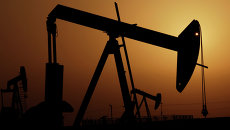 Нефтяные насосы. Архивное фото Нефтяные насосы. Архивное фото