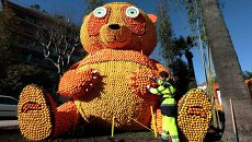 Фигура панды из лимонов и апельсинов на фестивале лимонов в городе Ментон во Франции Фигура панды из лимонов и апельсинов на фестивале лимонов в городе Ментон во Франции