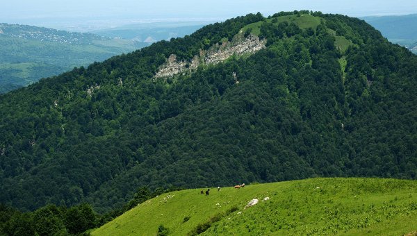 Горные районы Чечни Горные районы Чечни