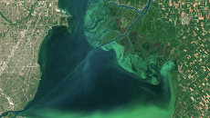 Цветение водорослей в американском озере Эри Цветение водорослей в американском озере Эри