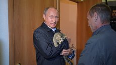 Президент России Владимир Путин осматривает ход строительства жилья для пострадавших от пожаров Президент России Владимир Путин осматривает ход строительства жилья для пострадавших от пожаров
