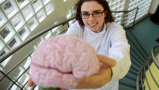 Ученый держит в руках мозг человека, страдавшего болезнью Альцгеймера. Архивное фото Ученый держит в руках мозг человека, страдавшего болезнью Альцгеймера. Архивное фото