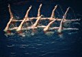 Участницы шоу Олимпийских чемпионов по синхронному плаванию в спорткомплексе Олимпийский Участницы шоу Олимпийских чемпионов по синхронному плаванию в спорткомплексе Олимпийский
