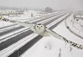 Снежная сова на острове Монреаль, Канада Снежная сова на острове Монреаль, Канада