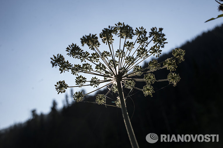 Байкальский Национальный заповедник Байкальский Национальный заповедник