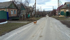 Населенный пункт Веселая Гора (ЛНР). Архивноео фото Населенный пункт Веселая Гора (ЛНР). Архивноео фото