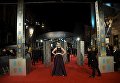Актриса Гвендолин Кристи на церемонии вручения премий Британской академии кино и телевизионных искусств Актриса Гвендолин Кристи на церемонии вручения премий Британской академии кино и телевизионных искусств