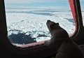 Арктическая экспедиция Кара-зима 2015 Арктическая экспедиция Кара-зима 2015