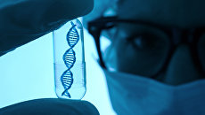 Scientist with DNA in vitro model