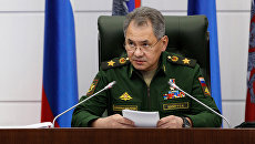 Министр обороны РФ Сергей Шойгу. Архивное фото Министр обороны РФ Сергей Шойгу. Архивное фото