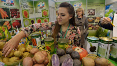 Представители отечественных производителей продуктов агропромышленного комплекса и посетители на выставке. Архивное фото Представители отечественных производителей продуктов агропромышленного комплекса и посетители на выставке. Архивное фото
