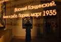 Посетительница на открытии выставки Василий Кандинский и Россия в корпусе Бенуа Русского музея в Санкт-Петербурге Посетительница на открытии выставки Василий Кандинский и Россия в корпусе Бенуа Русского музея в Санкт-Петербурге