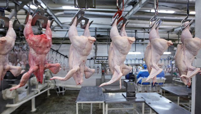 Россия ограничит транзит мяса птицы из США в Казахстан 