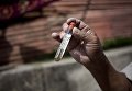 Комары и личинки переносчики вируса Зика Комары и личинки переносчики вируса Зика