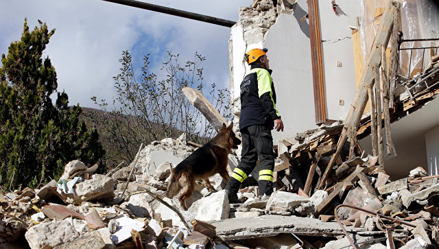 Спасатель с собакой на месте обрушившегося в результате землетрясения дома. Провинция Мачерата, Италия. 27 октября 2016