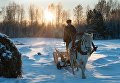 Повозка в селе Березовка Томской области Повозка в селе Березовка Томской области