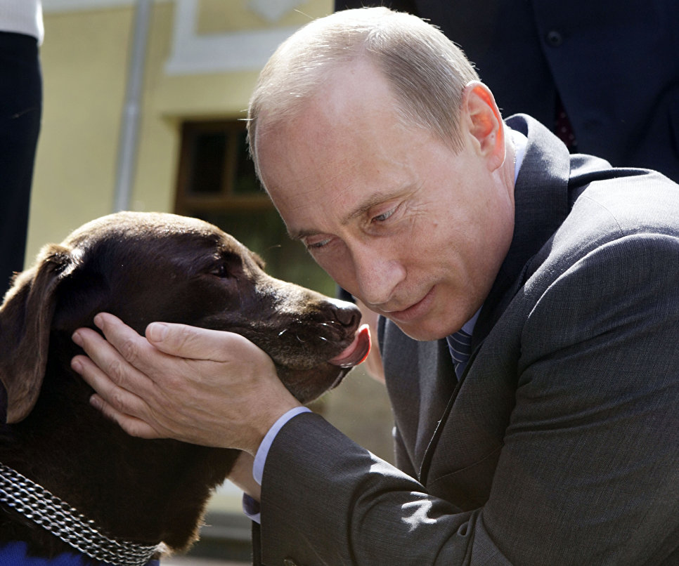 Владимир Путин с собакой породы лабрадор по кличке Тоник во время встречи с российскими спасателями в резиденции Ново-Огарево. 6 июня 2008