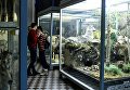 Посетители в зоологическом музее Санкт-Петербурга Посетители в зоологическом музее Санкт-Петербурга