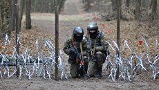 Военнослужащие Национальной гвардии Украины во время обучения по методике НАТО. Архивное фото Военнослужащие Национальной гвардии Украины во время обучения по методике НАТО. Архивное фото