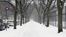 Последствия снежного шторма в США: уборка улиц и игры в снежки Последствия снежного шторма в США: уборка улиц и игры в снежки