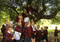 Работа фотографа Paul Clerkin The Holm Oak для 2017 European Tree of the Year Работа фотографа Paul Clerkin The Holm Oak для 2017 European Tree of the Year