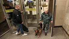 Сотрудник правоохранительных органов с собакой на станции Садовая в Санкт-Петербурге. Архивное фото Сотрудник правоохранительных органов с собакой на станции Садовая в Санкт-Петербурге. Архивное фото