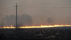 Полевые пожары в Колыванском районе Новосибирской области Полевые пожары в Колыванском районе Новосибирской области