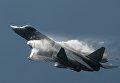 Самолет Т-50 во время показательных выступлений на Международном авиационно-космическом салоне МАКС 2015 Самолет Т-50 во время показательных выступлений на Международном авиационно-космическом салоне МАКС 2015