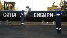 Строительство магистрального газопровода Сила Сибири. Архивное фото Строительство магистрального газопровода Сила Сибири. Архивное фото