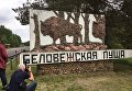 Беловежская пуща Беловежская пуща