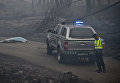 Сотрудник полиции в зоне лесных пожаров в Португалии Сотрудник полиции в зоне лесных пожаров в Португалии