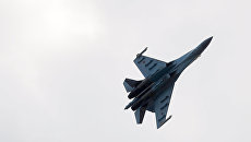 Самолет Су-27. Архивное фото Самолет Су-27. Архивное фото