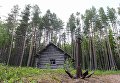 Лесная охотничья избушка на берегу Онежского залива в районе мыса Глубокий Лесная охотничья избушка на берегу Онежского залива в районе мыса Глубокий