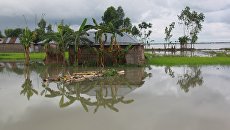Наводнение в Бангладеш. Архивное фото Наводнение в Бангладеш. Архивное фото