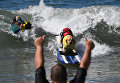 Ежегодный турнир по собачьему серфингу Surf City Surf Dog на пляже Хантингтон-Бич, Калифорния. 23 сентября 2017 года Ежегодный турнир по собачьему серфингу Surf City Surf Dog на пляже Хантингтон-Бич, Калифорния. 23 сентября 2017 года