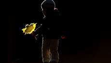 Ребенок играет с осенними листьями Ребенок играет с осенними листьями