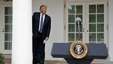 Президент США Дональд Трамп в саду Белого дома. Архивное фото Президент США Дональд Трамп в саду Белого дома. Архивное фото
