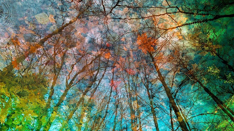 Yuri Pritisk. Touch Of Autumn Yuri Pritisk. Touch Of Autumn