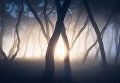 Работа участника фотоконкурса The EPSON International Pano Awards Работа участника фотоконкурса The EPSON International Pano Awards