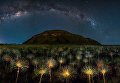 Работа участника фотоконкурса The EPSON International Pano Awards Работа участника фотоконкурса The EPSON International Pano Awards