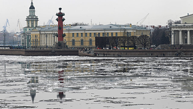 Васильевский остров в Сантк-петербурге