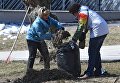 Женщины убирают прошлогоднюю листву во время городского субботника в Москве Женщины убирают прошлогоднюю листву во время городского субботника в Москве
