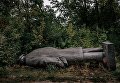 Славянск. 15 сентября 2015. В поисках Ленина Славянск. 15 сентября 2015. В поисках Ленина