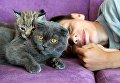 Сын директора зоопарка Екатерины Зотовой Владислав со своими питомцами: кошкой по кличке Моника и рысенком, которого она выкормила в зоопарке Чудесный недалеко от Уссурийска в Приморском крае Сын директора зоопарка Екатерины Зотовой Владислав со своими питомцами: кошкой по кличке Моника и рысенком, которого она выкормила в зоопарке Чудесный недалеко от Уссурийска в Приморском крае